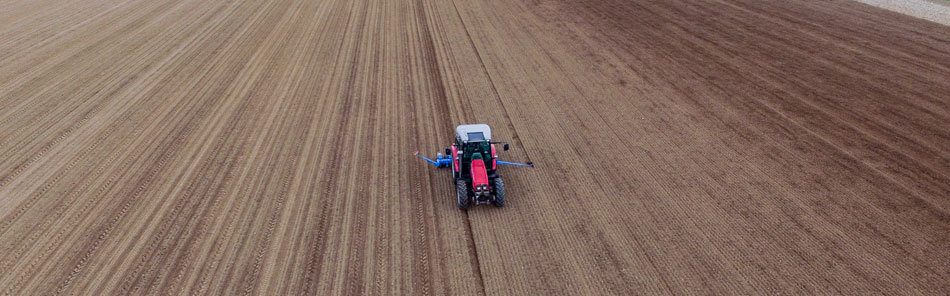 Übernahme von Monsanto durch Bayer 